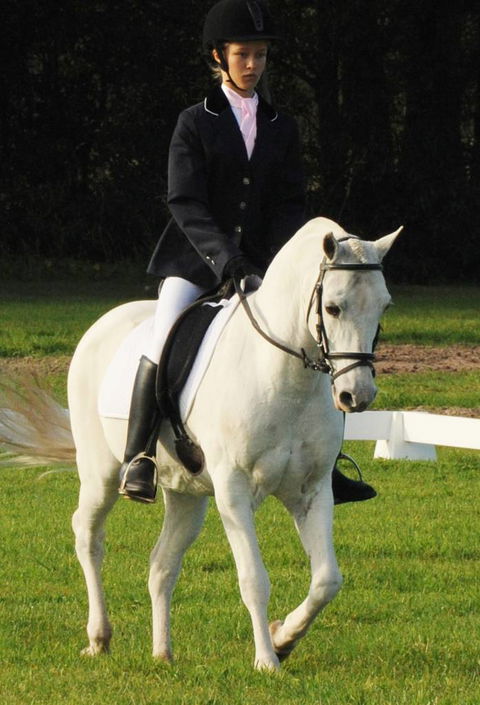 Encantador The Riding School - e-Seniors 0