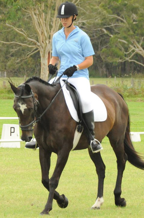Encantador The Riding School - e-Seniors 3