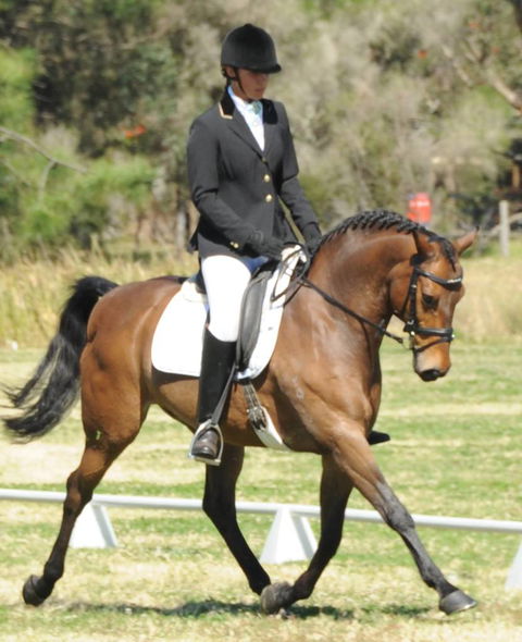 Encantador The Riding School - e-Seniors 4