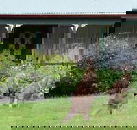 Cedar Lodge Cabins - e-Seniors