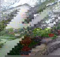 Topiary Haven - e-Seniors