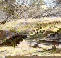 Wrens View - e-Seniors