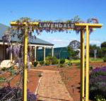 Lavendale Farmstay  Cottages York - e-Seniors