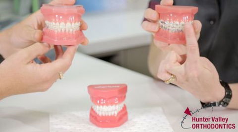 Yang Danny Dr – Specialist Orthodontist - e-Seniors 0