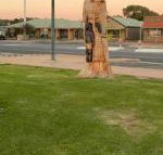 Lake Albert Motel - e-Seniors