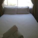 Cowrie Point TAS e-Seniors