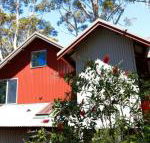 Pelicans at Denmark - e-Seniors