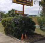 Golden West Motor Inn - e-Seniors