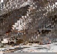 Mitchell - e-Seniors