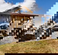 Triggerplant 2 - e-Seniors