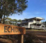 Echidna on Bruny - e-Seniors