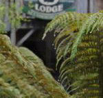 The Wombat Cottage - e-Seniors