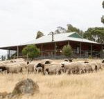 Gilgraves Vineyard Farmstay - e-Seniors