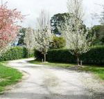 Robin Hill Manor rambling retreat  tennis court - e-Seniors