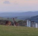 Rooks Edge - e-Seniors