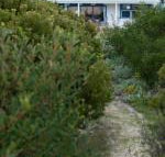 Polperro a quintessential seaside experience - e-Seniors