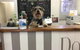 Doggie Barber - thumb 0
