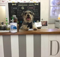 Doggie Barber - e-Seniors