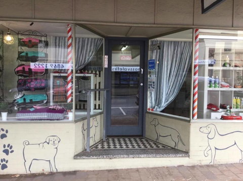 Doggie Barber - e-Seniors 1