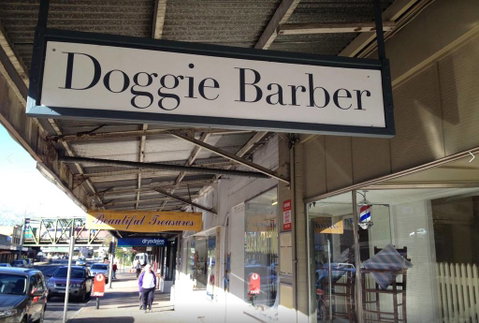 Doggie Barber - e-Seniors 4