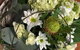 Blossoms Flower Boutique - thumb 1