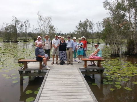 Busy Bus Shuttle & Tour Service - e-Seniors 2