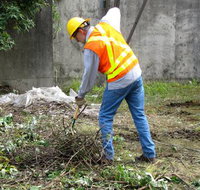 Total Vegetation Management - e-Seniors
