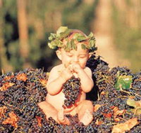 Shannonvale Tropical Fruit Winery - e-Seniors