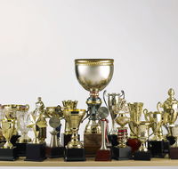 Ace Wholesale Trophies  Engraving - e-Seniors