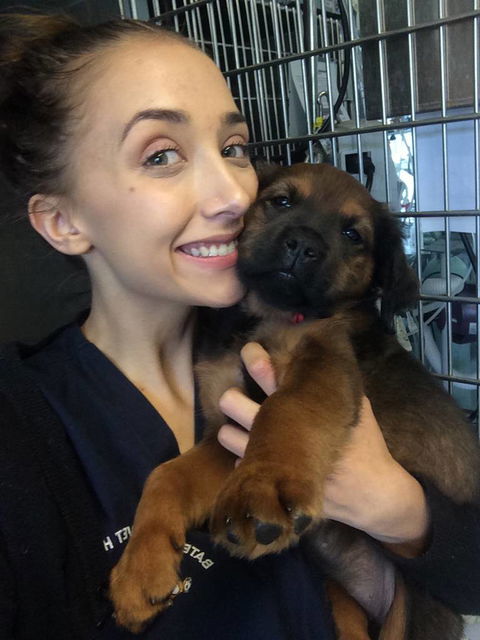 Bateau Bay Veterinary Hospital - e-Seniors 1