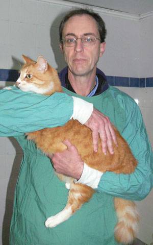 Bateau Bay Veterinary Hospital - e-Seniors 2