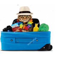Better Pet Vets Northern Beaches - e-Seniors