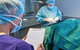 Better Pet Vets Northern Beaches - thumb 3