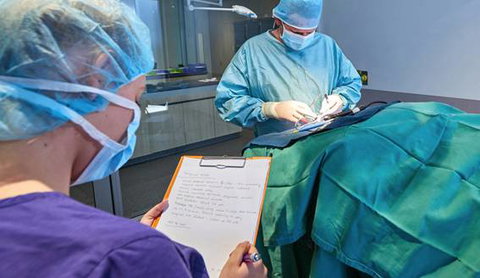 Better Pet Vets Northern Beaches - e-Seniors 3