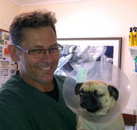 Lennox Head Vet Clinic - e-Seniors