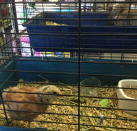 Pets R Us Raymond Terrace - e-Seniors