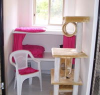 Carlyn Park Cattery - e-Seniors