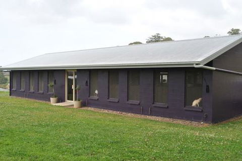 Boambee Valley Cat Retreat - e-Seniors 0