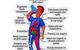 Core Concepts Chiropractic - thumb 1