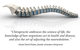 Grays Chiropractic Centre - thumb 8