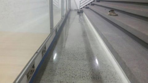 Pour & Polish Concrete Solutions - e-Seniors 1