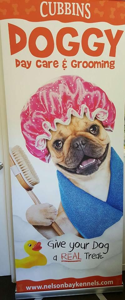 Cubbins Nelson Bay Boarding Kennels & Cattery - e-Seniors 1