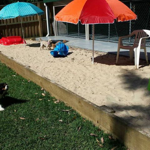 Cubbins Nelson Bay Boarding Kennels & Cattery - e-Seniors 2