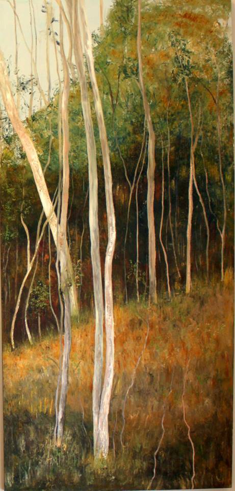 Upper Kangaroo River NSW e-Seniors