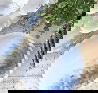 Appleberry - e-Seniors