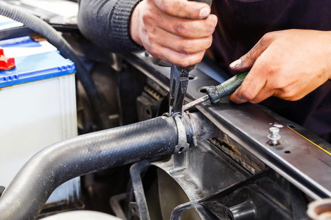 McDonald Automotive Services - e-Seniors 4