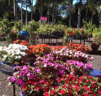 Plants Plus Natures Decor Alstonville - e-Seniors
